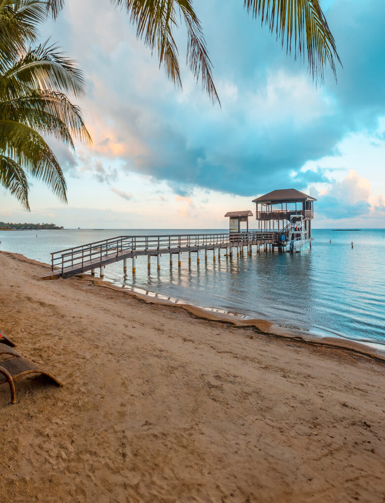A peaceful beach with lounges and a dock overlooking the tranquil sea | MSC Cruises